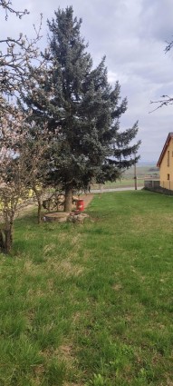 Detail: Pozemek k bydlení 2431 m2