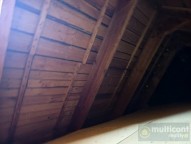 IMG_20260422_095236.jpg