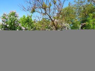 IMG_20240430_104731.jpg
