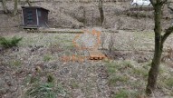 DSC05801
