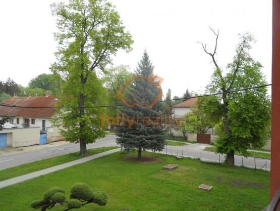 DSCN0782