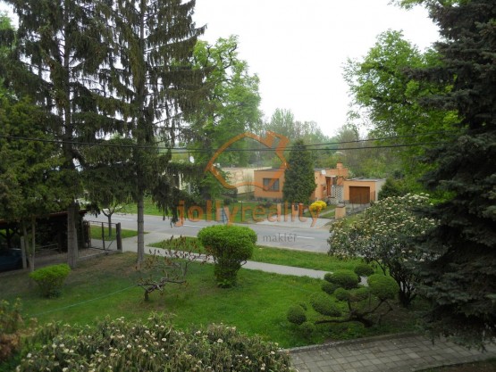 DSCN0784