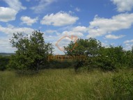DSCN0974