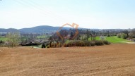 DSC06424 (2)
