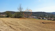 DSC06425 (2)