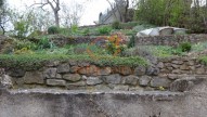 DSC06572