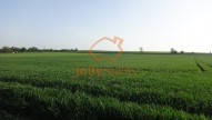 DSC07082