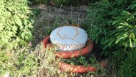 DSC07403