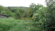 DSC07427