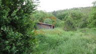 DSC07430