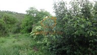 DSC07426