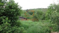 DSC07425
