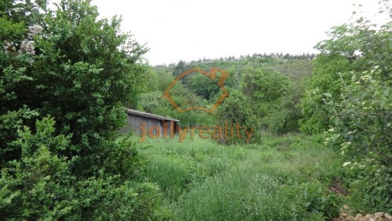 DSC07425