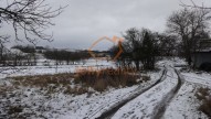 DSC00194