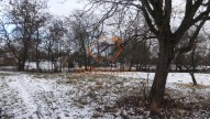 DSC00193