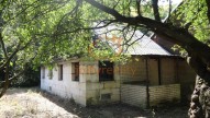 DSC08383
