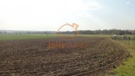 DSC09377