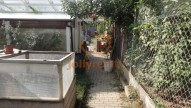 DSC08678