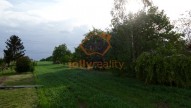 DSC07347