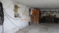 DSC09520