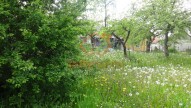 DSC01654
