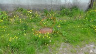 DSC01646
