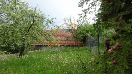 DSC01655