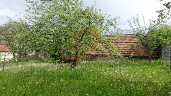 DSC01658