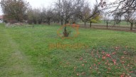 DSC09596