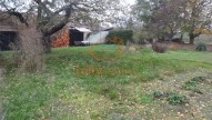 DSC09597