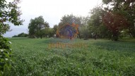 DSC07353