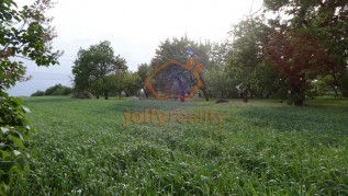DSC07353