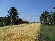prodej-pozemku-pro-bydleni-2058-m2-sobotovice-dscn1594-18bd69