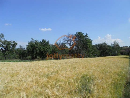 prodej-pozemku-pro-bydleni-2058-m2-sobotovice-dscn1608-13c6c9
