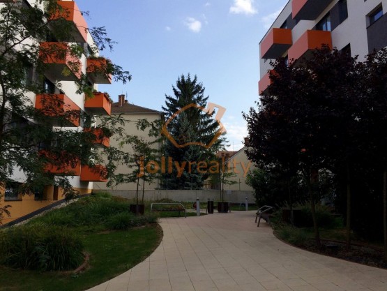 pronajem-byty-2-kk-0m2-brno-img-0250-658641