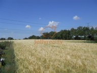 prodej-pozemku-pro-bydleni-2058-m2-sobotovice-dscn1606-c7fd60