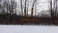 DSC00206