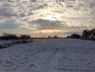IMG_2340