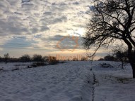 IMG_2336