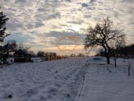 IMG_2333