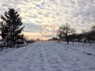 IMG_2332
