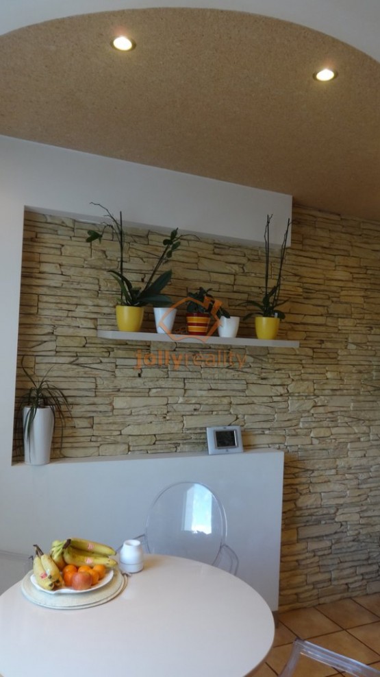 DSC00505
