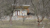 DSC00729