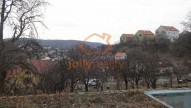 DSC00719