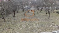 DSC00717