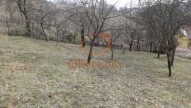 DSC00710