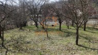 DSC01125