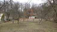 DSC00728