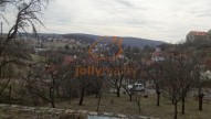 DSC00716