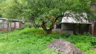 DSC01577